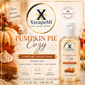 Pumpkin Pie Cozy Comfort Hand Soap Travel Size 3.4 fl oz